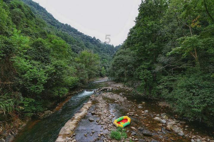 逗小猴开心系列163